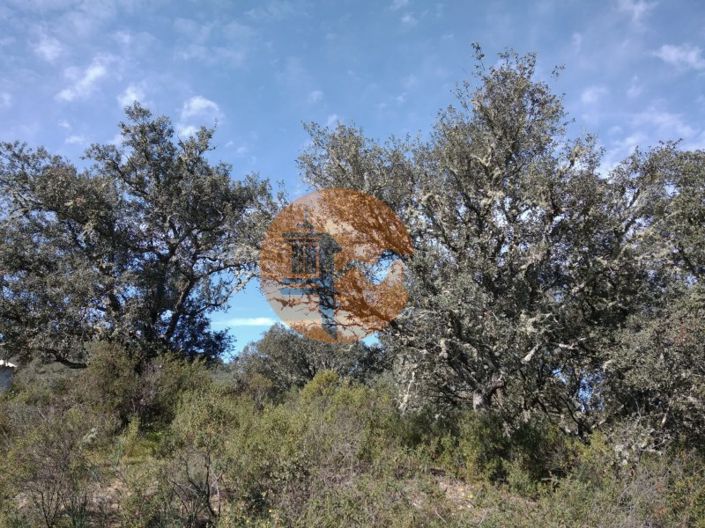 Image No.23-Terrain à vendre à Castro Marim