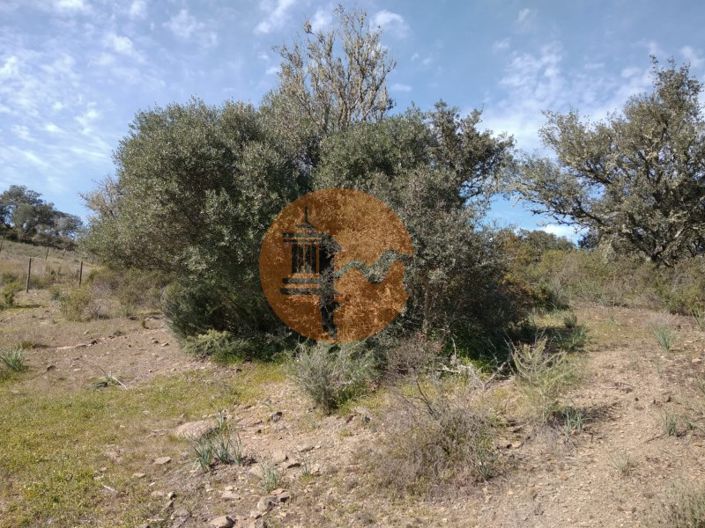 Image No.25-Terrain à vendre à Castro Marim