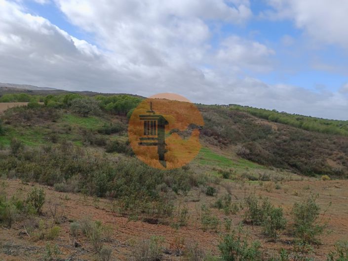 Image No.10-Plot for sale