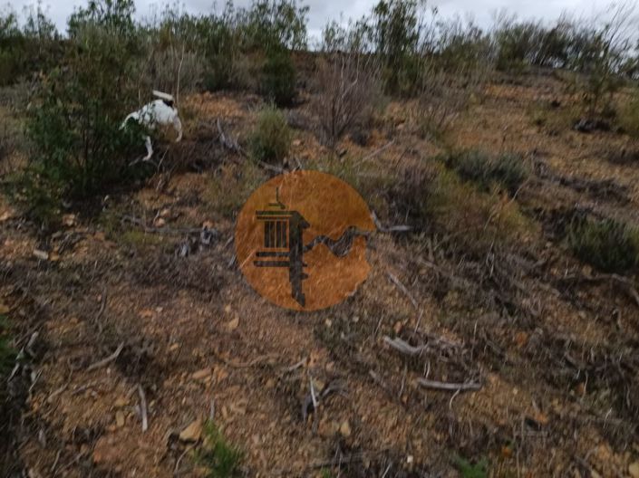 Image No.9-Plot for sale