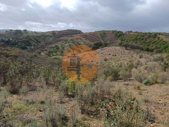 Image No.22-Plot for sale