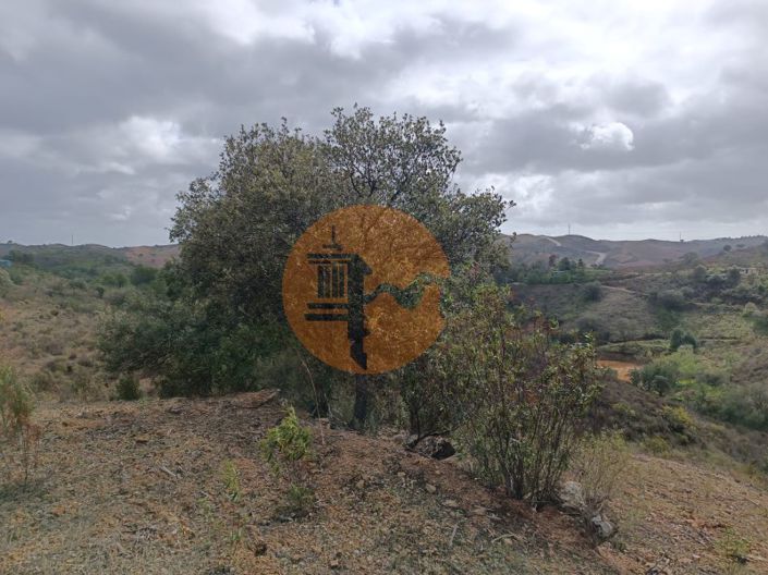 Image No.35-Plot for sale