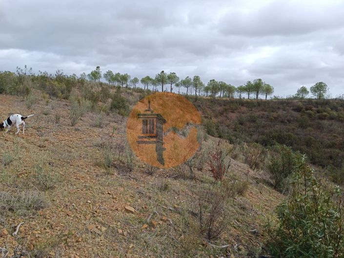 Image No.36-Plot for sale