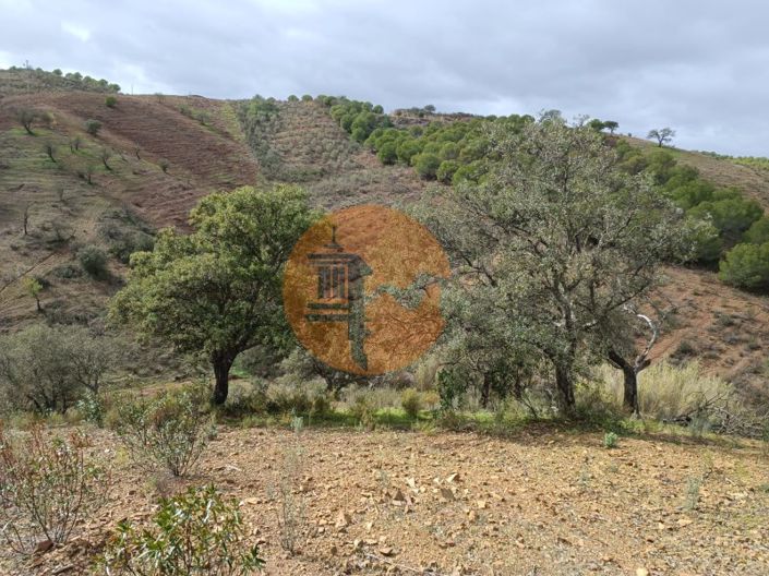 Image No.44-Plot for sale