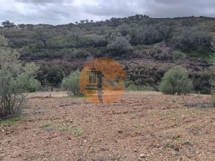 Image No.11-Plot for sale