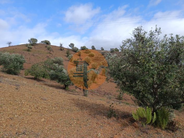 Image No.14-Plot for sale