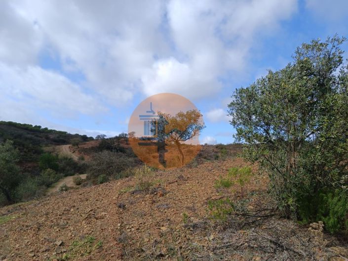 Image No.16-Plot for sale