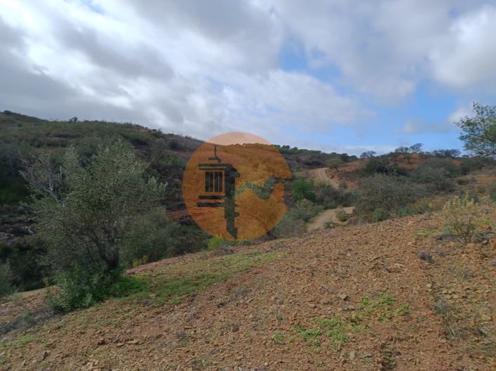 Image No.9-Plot for sale