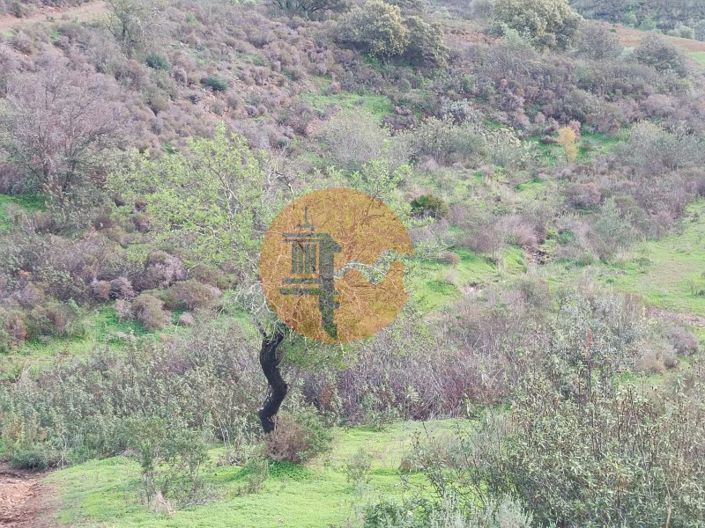 Image No.10-Terrain à vendre à Castro Marim