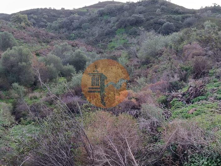 Image No.27-Terrain à vendre à Castro Marim