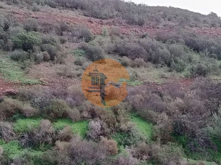 Image No.29-Terrain à vendre à Castro Marim