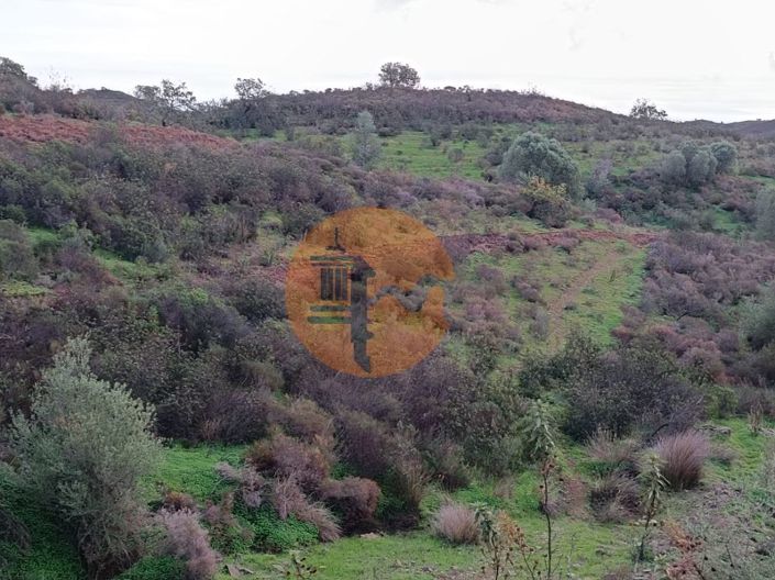 Image No.31-Terrain à vendre à Castro Marim
