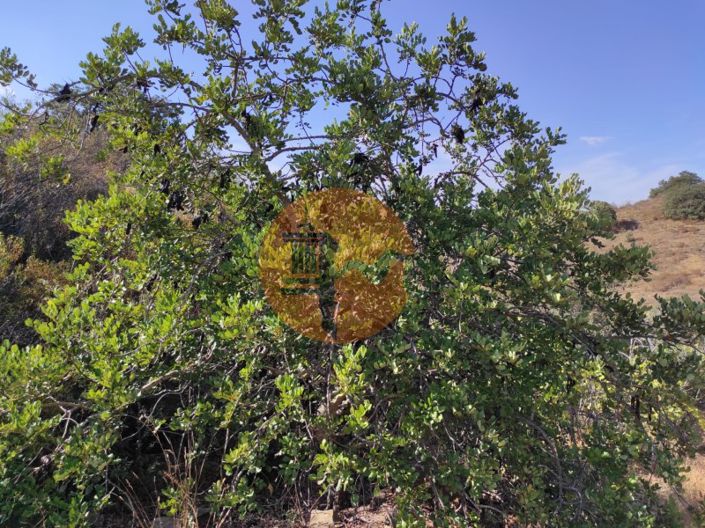 Image No.16-Plot for sale