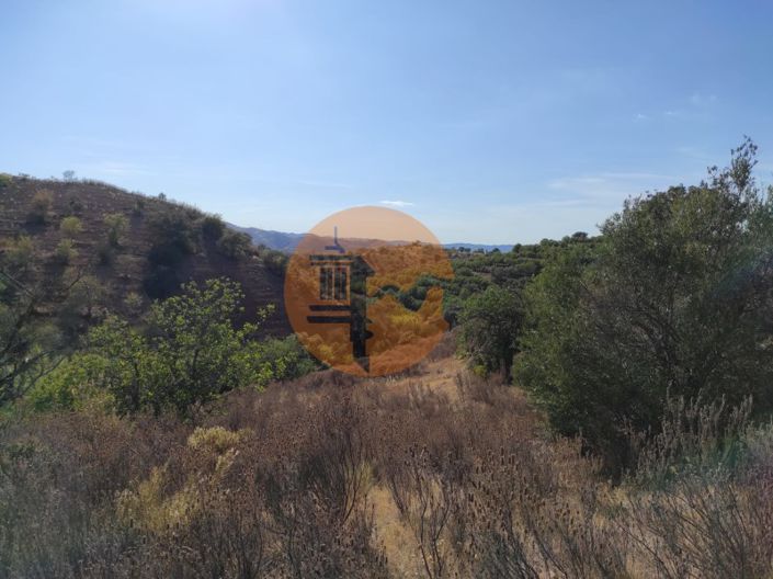 Image No.18-Plot for sale