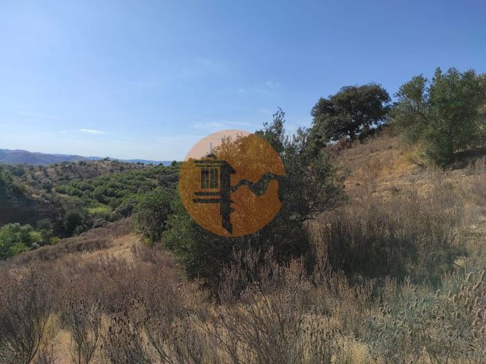 Image No.19-Plot for sale