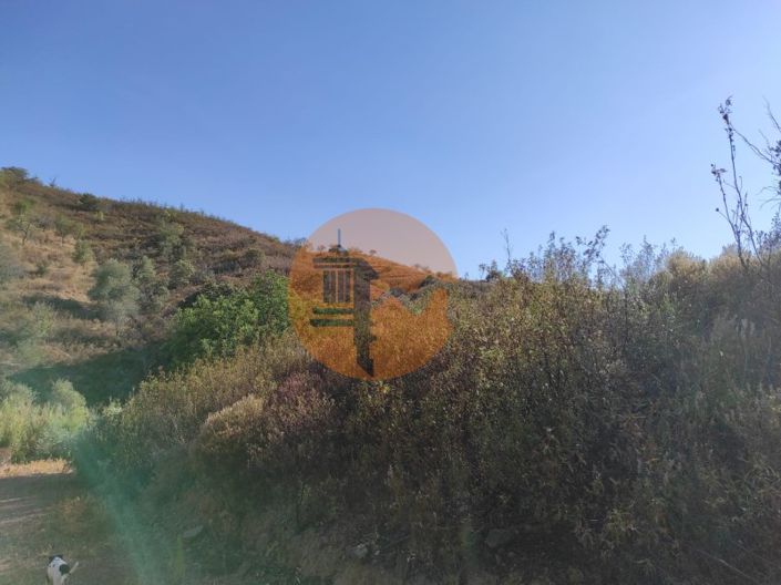 Image No.32-Plot for sale