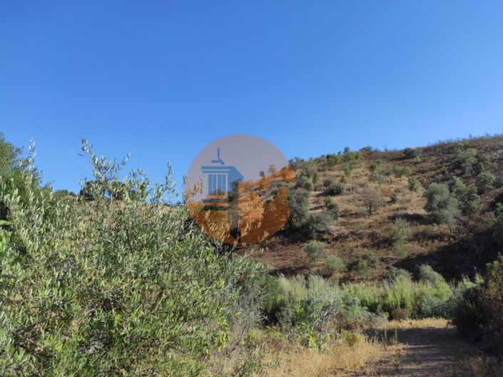 Image No.33-Plot for sale