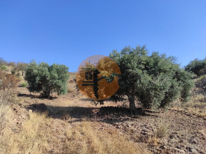 Image No.34-Plot for sale