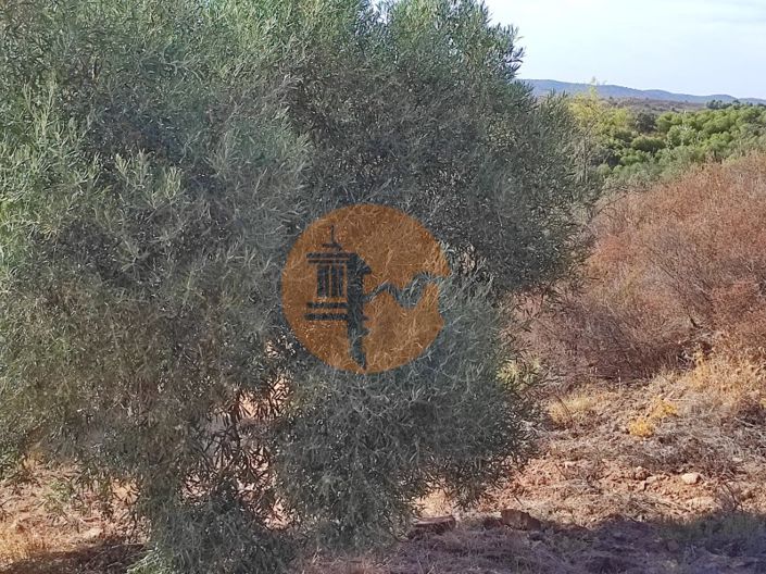 Image No.40-Plot for sale