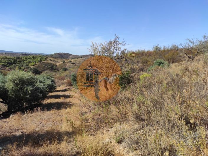 Image No.43-Plot for sale