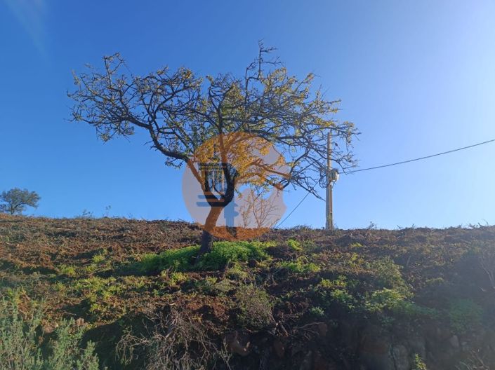 Image No.51-Plot for sale