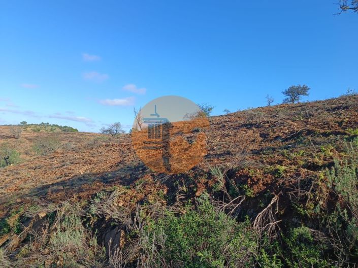 Image No.52-Plot for sale