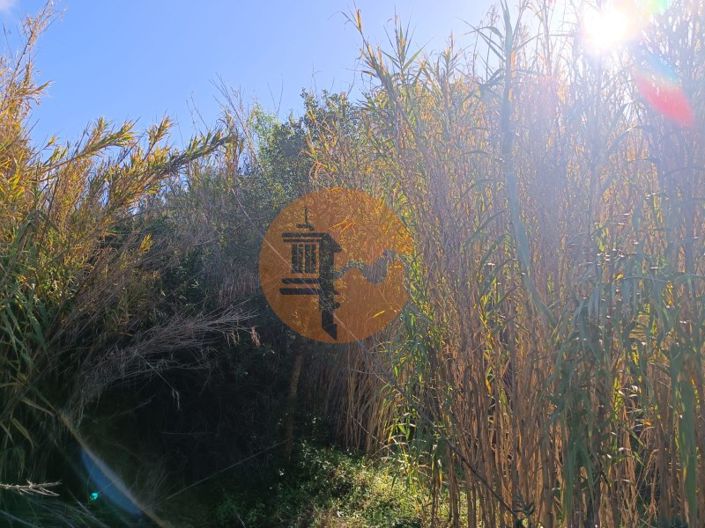 Image No.56-Plot for sale