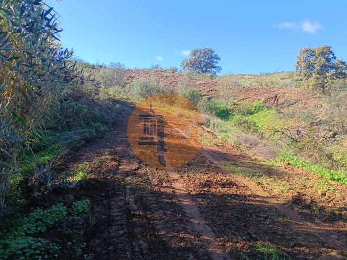 Image No.60-Plot for sale