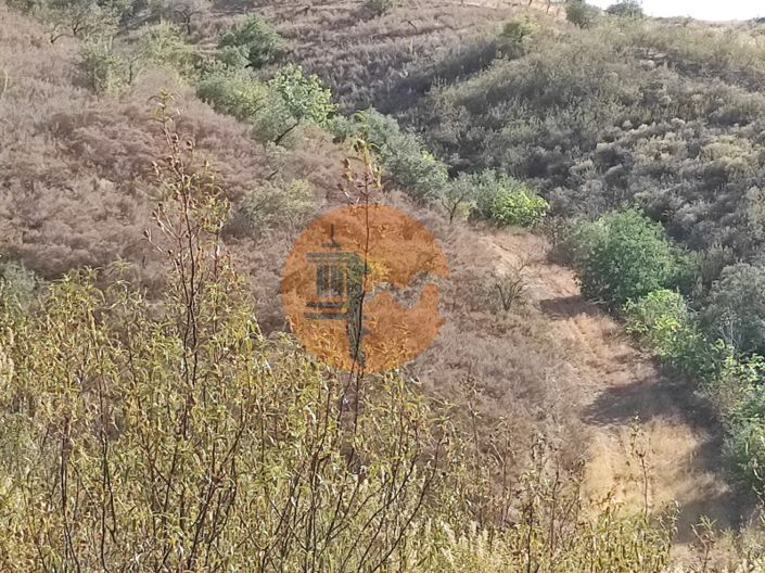 Image No.7-Plot for sale