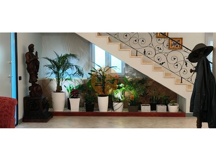 Image No.16-Maison de 5 chambres à vendre à Loule