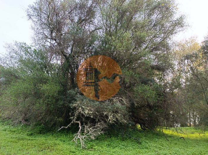 Image No.11-Plot for sale