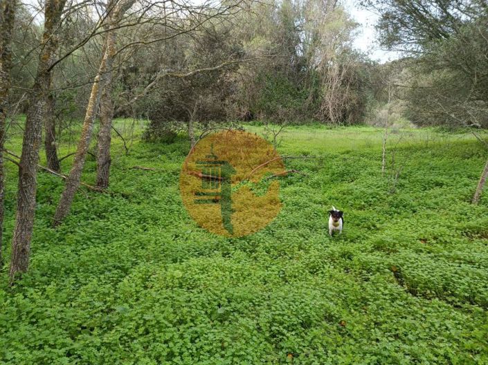 Image No.19-Plot for sale