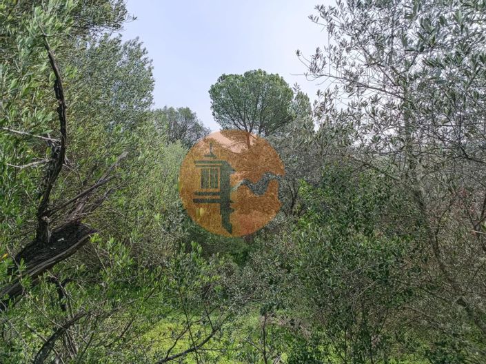 Image No.5-Plot for sale