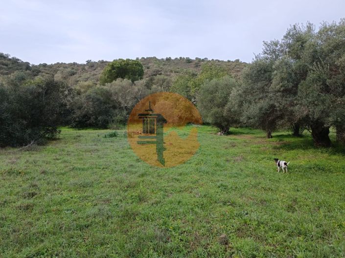 Image No.7-Plot for sale