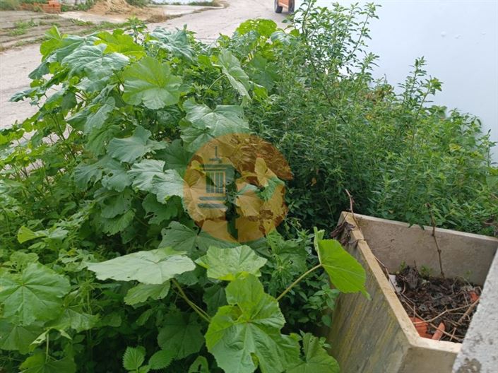 Image No.9-Maison de 1 chambre à vendre à Alcoutim