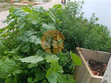 id11c87601-0000-0500-0000-0000126c8d23