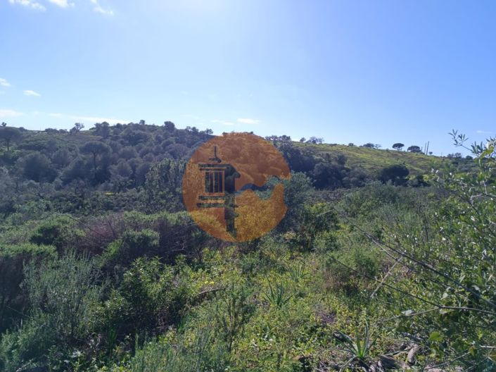 Image No.10-Plot for sale