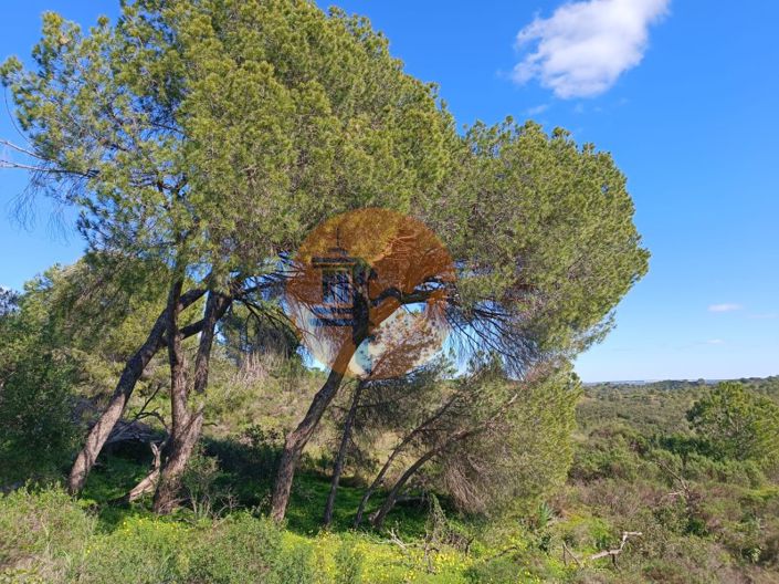 Image No.11-Plot for sale