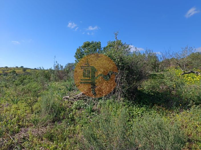 Image No.12-Plot for sale