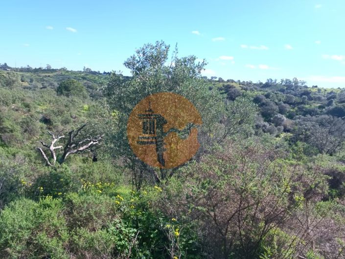 Image No.15-Plot for sale