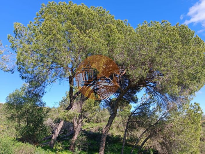 Image No.20-Plot for sale