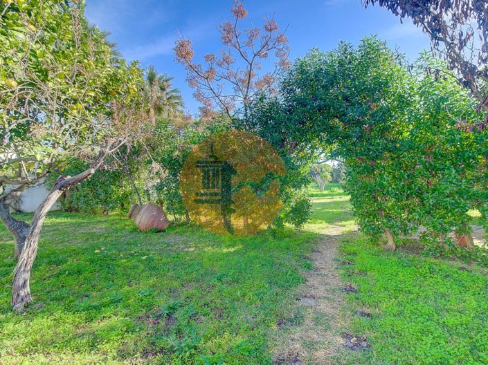 Image No.44-Ferme de 4 chambres à vendre à Vila Real de Santo António