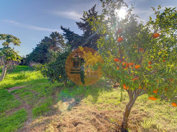Image No.46-Ferme de 4 chambres à vendre à Vila Real de Santo António