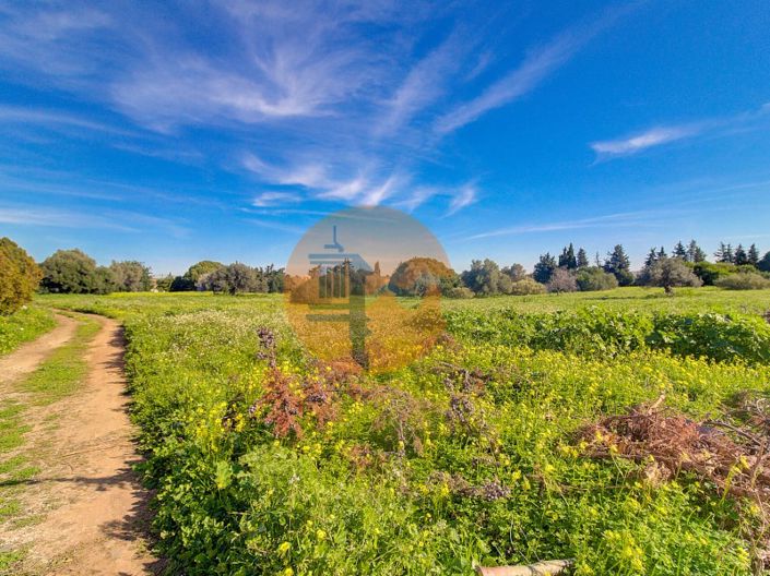 Image No.48-Ferme de 4 chambres à vendre à Vila Real de Santo António