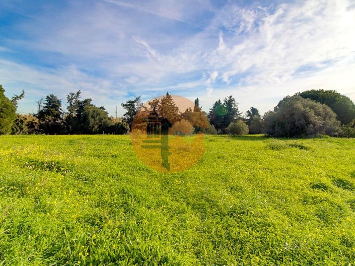 Image No.51-Ferme de 4 chambres à vendre à Vila Real de Santo António