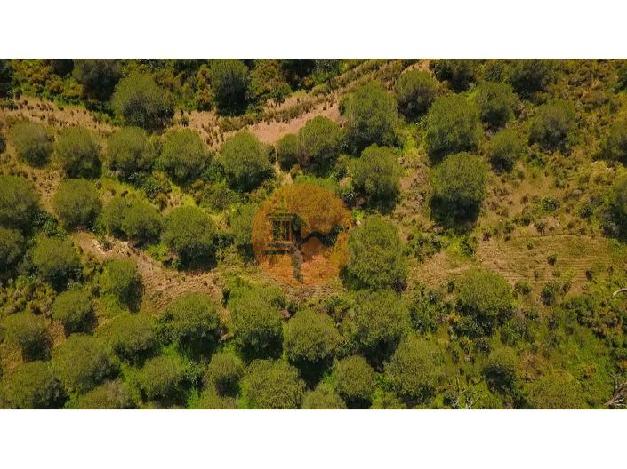 Image No.21-Plot for sale