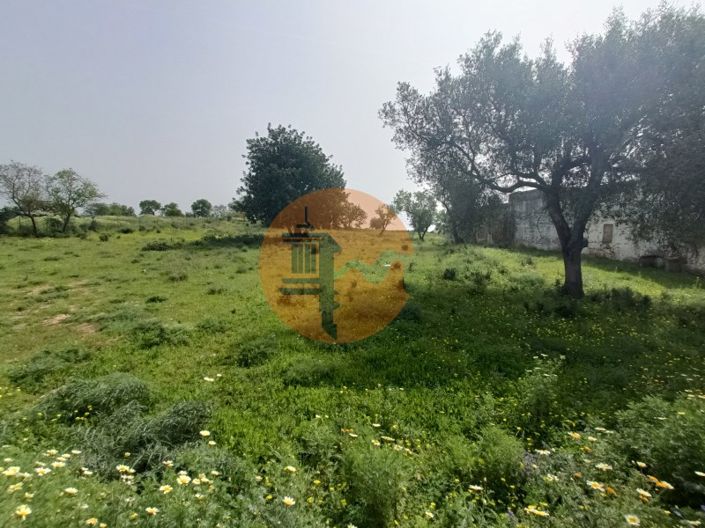 Image No.13-Terrain à vendre à Olhão