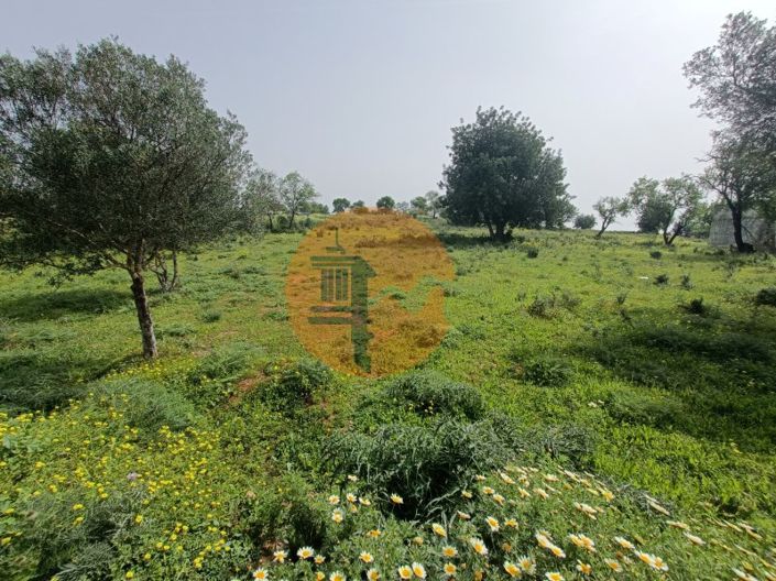 Image No.14-Terrain à vendre à Olhão