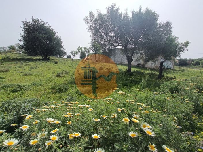 Image No.15-Terrain à vendre à Olhão