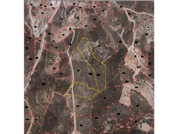 id7d7b7a01-0000-0500-0000-000012ddf4d6